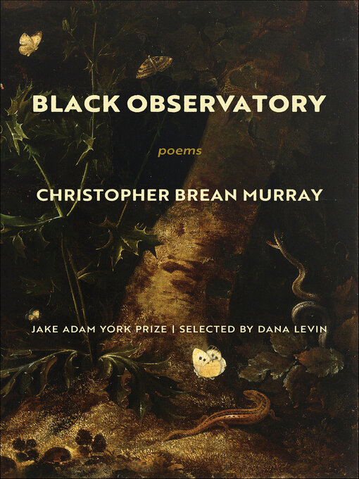 Title details for Black Observatory by Christopher Brean Murray - Available